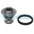 DAYCO Темостат LAND ROVER DEFENDER Cabrio 2.5 TDI 90-01, DISCOVERY I 2.5 TDI 89-98 DT1323V