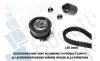 BKCD0584 Комплект ГРМ 1.9TDI Caddy 04-/T5 03-/Golf IV/V/Passat 01-/Jetta 05- BUGATTI підбір по vin на Brocar