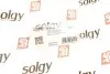 204174 Важіль підвіски SOLGY 204174 SOLGY підбір по vin на Brocar
