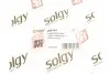 204104 Важіль підвіски SOLGY 204104 SOLGY підбір по vin на Brocar