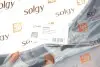 204092 Важіль підвіски SOLGY 204092 SOLGY підбір по vin на Brocar