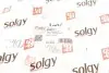 204077 Важіль підвіски SOLGY 204077 SOLGY підбір по vin на Brocar