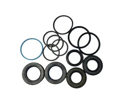 AU1001KIT Ремкомплект рейки з гідропідсилювачем ГПК AUDI R8 (422, 423) 07-15, R8 SPYDER (427, 429) 10-15 MSG підбір по vin на Brocar