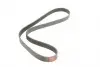 6PK1157 Ремінь генератора клиновий GATES 6PK1157 GATES підбір по vin на Brocar