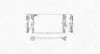 BM955 MAGNETI MARELLI радіатор MERCEDES VIANO 3.0-3.2-2.0/2.2 [350213955000] MAGNETI MARELLI підбір по vin на Brocar