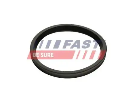 FT48947 Ущільнювальне кільце, шланг подачі наддувального повітря FAST подбор по vin на Brocar