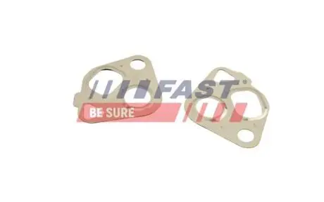 FT50607 Прокладка клапана EGR Seat Cordoba/Ibiza/VW Bora/Skoda 1.4 1999-2010 FAST підбір по vin на Brocar