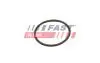 FT49933 Автозапчастина FAST підбір по vin на Brocar