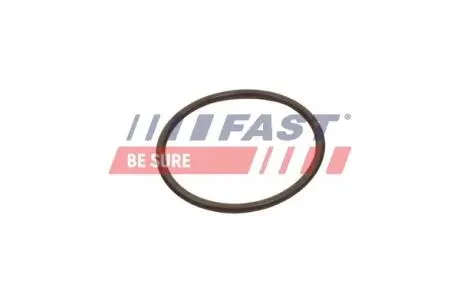 FT49933 Автозапчастина FAST подбор по vin на Brocar