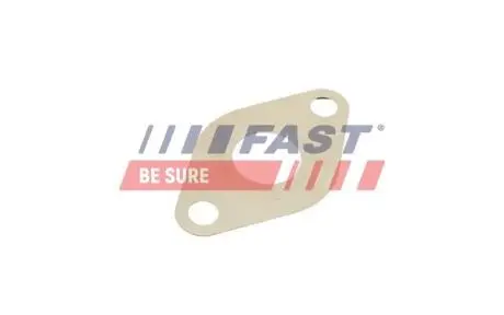 FT50609 Прокладка клапана EGR 1,9TDI VAG A4-6/Galaxy/Alhambra/Supe FAST підбір по vin на Brocar