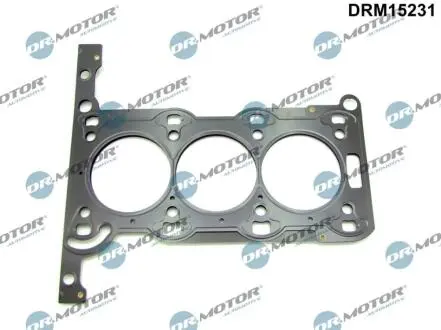 DRM15231 Автозапчастина DR.MOTOR підбір по vin на Brocar