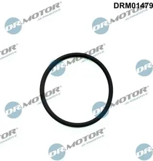 DRM01479 Автозапчастина DR.MOTOR підбір по vin на Brocar