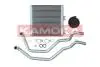 7760069 Автозапчастина KAMOKA підбір по vin на Brocar