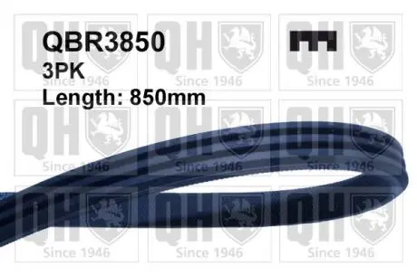 QBR3850 Ремiнь клиновий 3pk#850 QUINTON HAZELL підбір по vin на Brocar