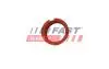 FT48814 Автозапчастина FAST підбір по vin на Brocar