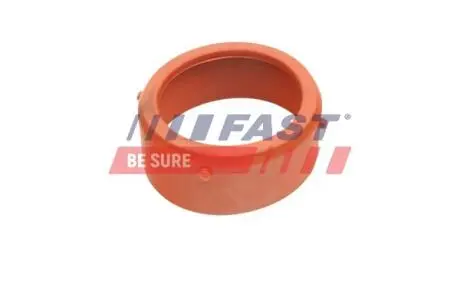 FT48813 Автозапчастина FAST подбор по vin на Brocar