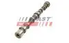 FT45006 Вал розподільчий EX CITROEN JUMPER FIAT DUCATO IVECO DAILY III, DAILY V, DAILY VI PEUGEOT BOXER 3.0D 01.04- FAST підбір по vin на Brocar