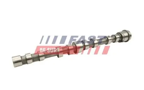 FT45006 Вал розподільчий EX CITROEN JUMPER FIAT DUCATO IVECO DAILY III, DAILY V, DAILY VI PEUGEOT BOXER 3.0D 01.04- FAST підбір по vin на Brocar