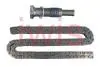 70008SET Ланцюг ГРМ к-т BMW 1 (E81/E87/E90) (N40B16/N45B16) 03-11 IWIS підбір по vin на Brocar