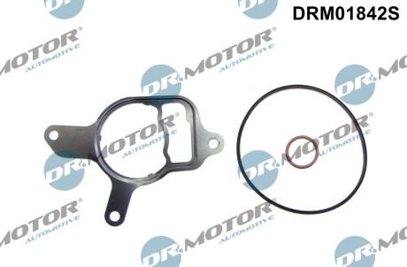 DRM01842S Комплект прокладок з різних матеріалів DR.MOTOR підбір по vin на Brocar