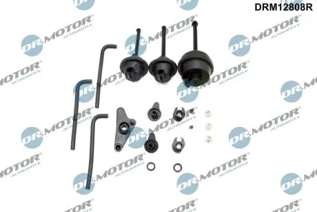 DRM12808R Ремонтний комплект колектора двигуна DR.MOTOR підбір по vin на Brocar