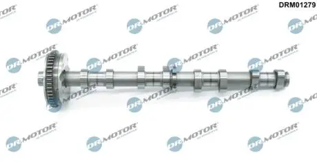 DRM01279 Вал розподільчий DR.MOTOR подбор по vin на Brocar