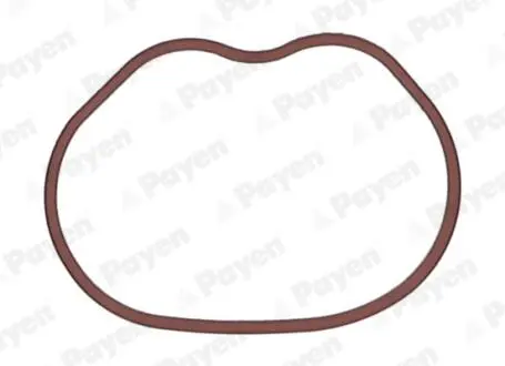 JD6166 Прокладка колектора IN FORD 1.25/1.4/1.6 16V/HWDA/HWDB (4) (вир-во Payen) PAYEN підбір по vin на Brocar