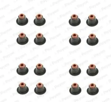 HR5086 Сальник клапана (компл.) BMW N42/N46 (16PCS) (вир-во Payen) PAYEN підбір по vin на Brocar
