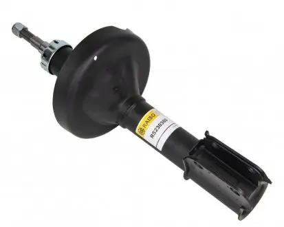 RS230380 Амортизатор передній Kangoo 98-08 (масл.) RAISO підбір по vin на Brocar