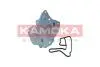 7730061 Радiатор масляний KAMOKA підбір по vin на Brocar