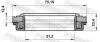 95RFW32751223X САЛЬНИК ПРИВОДУ 31.2X75.2X12.4X23.4, SSANG YONG(вир-во FEBEST) FEBEST підбір по vin на Brocar