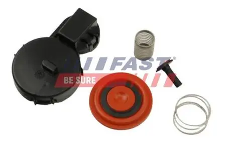 FT60104 Фильтр вентиляции картерных газов citroen berlingo/jumpy/peugeot partner 1.6 hdi FAST подбор по vin на Brocar