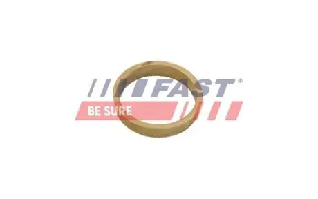 FT14401 Втулка в тарілку під пружину Fiat Ducato 06- FAST підбір по vin на Brocar