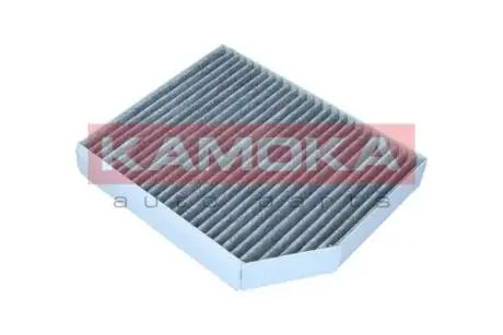 F520901 Фільтр, повітря у салоні KAMOKA підбір по vin на Brocar