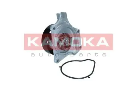 T0307 Помпа води KAMOKA подбор по vin на Brocar