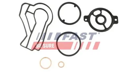 FT48939 К-кт прокладок масляного фільтра VW Crafter, 98- FAST підбір по vin на Brocar