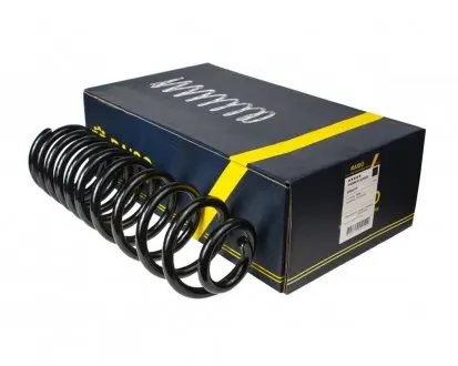 SR042TP Пружина задня VW Passat B3/B4 88-96 RAISO підбір по vin на Brocar