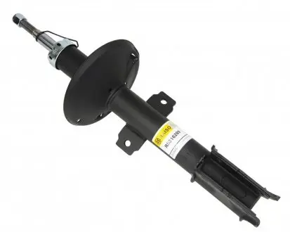 RS316289 Амортизатор передній Duster (4x4) 10- (газ.) RAISO підбір по vin на Brocar