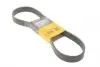 Ремінь генератора поліклиновий CONTINENTAL 8PK954 EXTRA 8PK954EXTRA