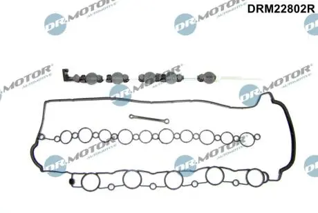DRM22802R Комплект прокладок з різних матеріалів DR.MOTOR підбір по vin на Brocar