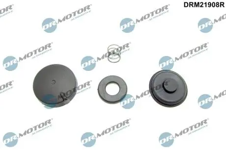 DRM21908R Комплект прокладок з різних матеріалів DR.MOTOR подбор по vin на Brocar
