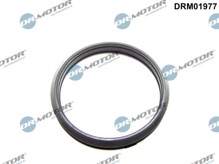 DRM01977 Кільце гумове DR.MOTOR підбір по vin на Brocar