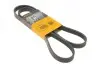Ремінь генератора поліклиновий CONTINENTAL 5PK1441