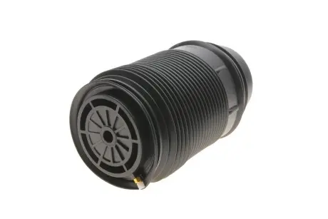 SAS10019 Подушка пневмопідвіски KAVO PARTS SAS-10019 KAVO підбір по vin на Brocar