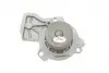 WP6126 Помпа води CONTINENTAL WP6126 CONTITECH підбір по vin на Brocar