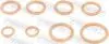Кільце ущільнювальне патрубка інтеркулера Renault Logan/Sandero 05-18 24400-003-KIT