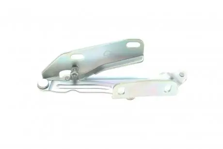 9067500021 Петля капота ROTWEISS 9067500021 ROTWEISS підбір по vin на Brocar