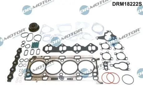 DRM18222S Комплект прокладок двигуна 57 елементiв DR.MOTOR подбор по vin на Brocar