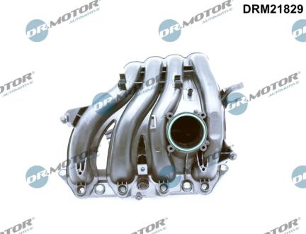DRM21829 Колектор впускний DR.MOTOR підбір по vin на Brocar