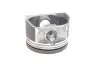 PXREN4A3841000C Комплект поршнів AMP PX-REN-4A-3841-000-C PARADOWSCY AMP підбір по vin на Brocar